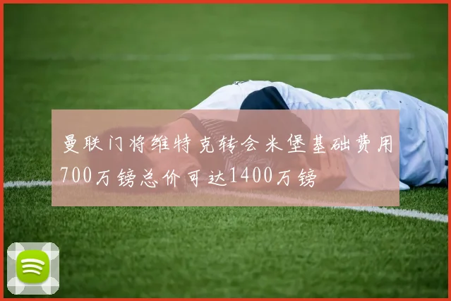 曼联门将维特克转会米堡基础费用700万镑总价可达1400万镑