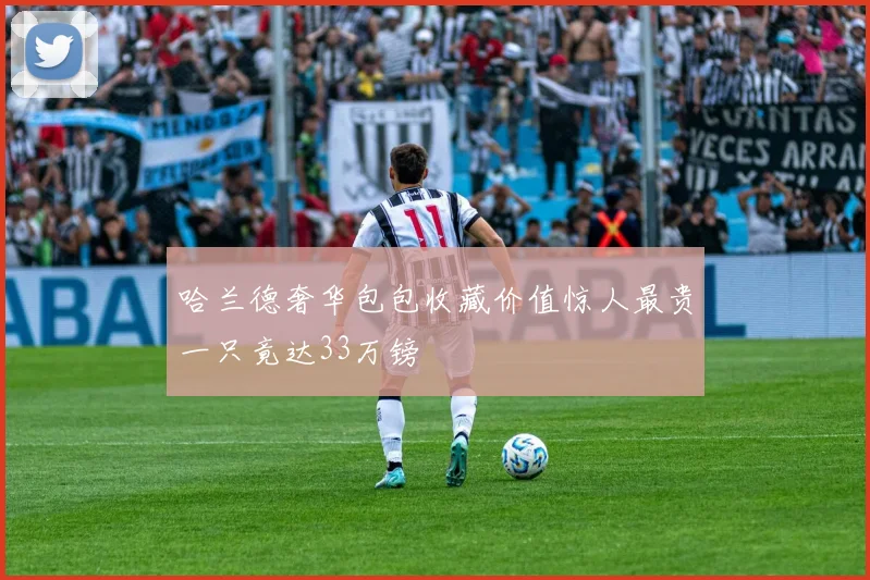 哈兰德奢华包包收藏价值惊人最贵一只竟达33万镑