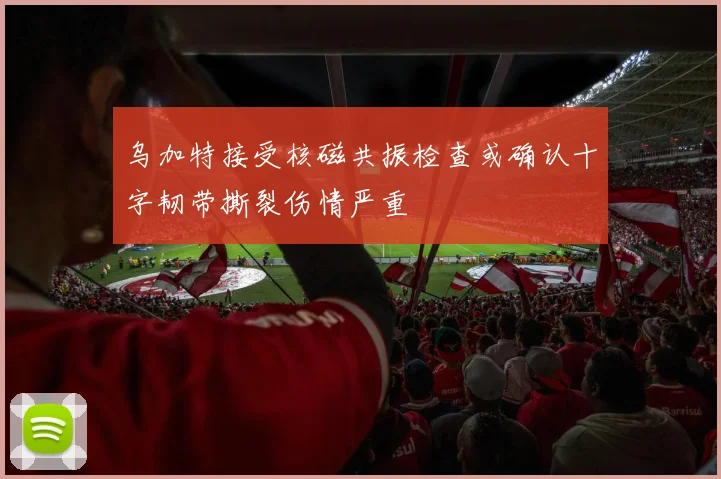 乌加特接受核磁共振检查或确认十字韧带撕裂伤情严重